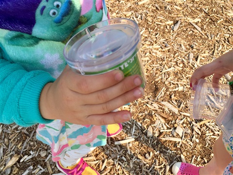 Children in the garden – romping, digging, playing,&nbsp;learning.