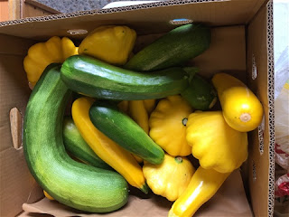 Harvesting – are you&nbsp;diligent?